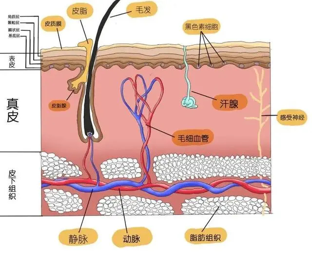 8718367adab44aed43386ffb44bf400ba08bfbee_副本.jpg