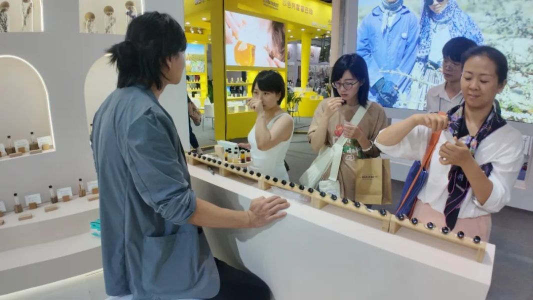 1730342820519893.jpeg 1730342820519893.jpeg