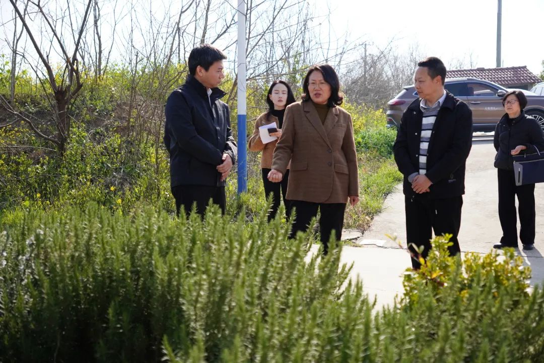荆门市委副书记、市委政法委书记赵少莲调研菲朗“一枝花”产业基地