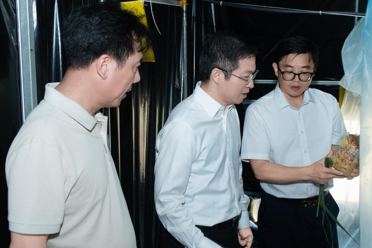 1751246865264164.png 1751246865264164.png