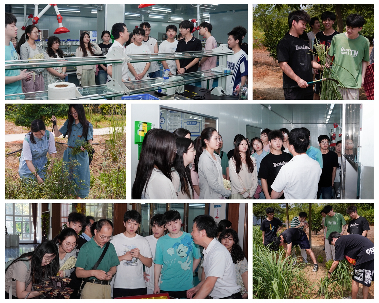 1753068374155449.jpg 1753068374155449.jpg