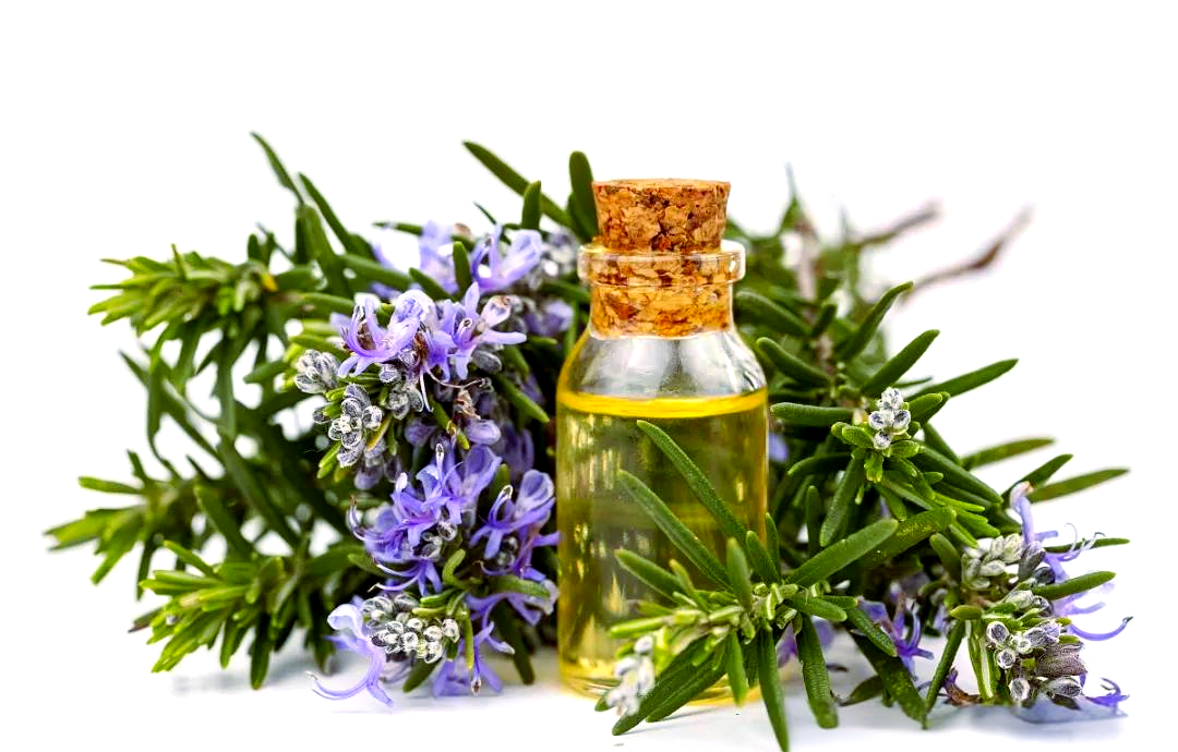 1762392576531548.png 1762392576531548.png