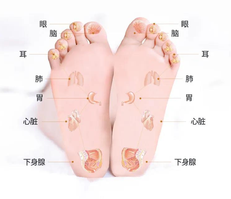 1771999171239522.png 640 (2).png