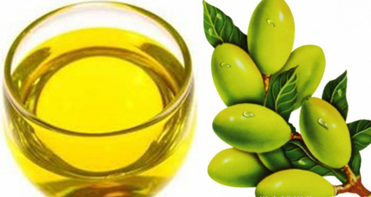 被称作 “液体黄金” 的护肤宝藏，馤舍欧儿霍霍巴油太绝了！